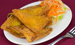Fried Won Ton with Chicken Meat (6)