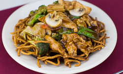 Pan Fried Noodles with Chicken