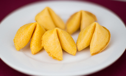 Fortune Cookies (12)